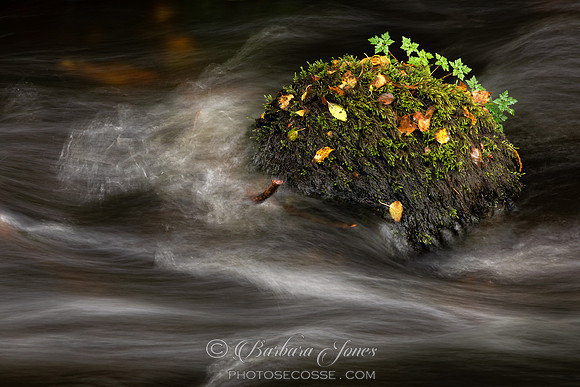 Island in the Stream Scotland