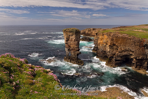 Island of Orkney. Yesnaby Castle, Sea Stack. Northern Isles. Scotland.