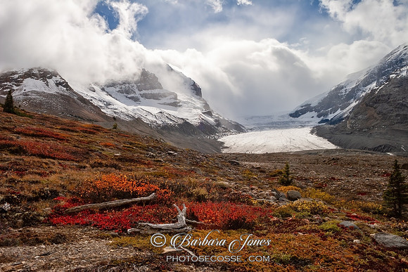 Athabasca Glacier Icefields Parkway NP Alberta, Canada