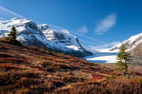 Athabasca Glacier Sunny Weather Alberta Canada
