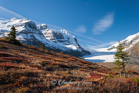 Athabasca Glacier Sunny Weather Alberta Canada