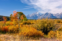 Grand Teton Autumn Colours Wyoming USA