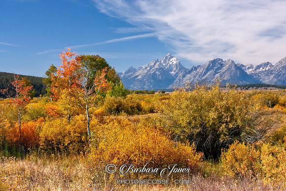 Grand Teton Autumn Colours Wyoming USA
