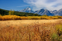 Grand Teton Colourful Scene Wyoming USA
