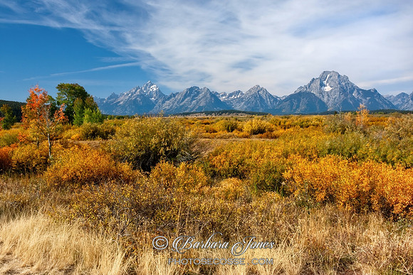 Grand Teton Fall Colours Wyoming USA