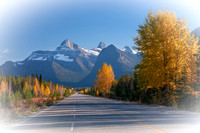 Icefields Parkway Fall Colours Alberta Canada