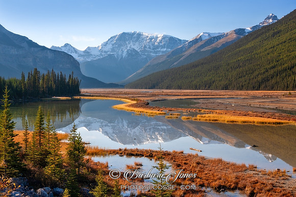 Mount Kitchener and Sunwapta River Alberta Canada