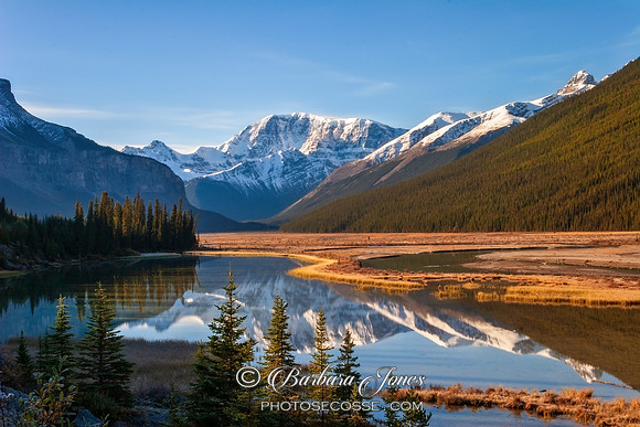 Mount Kitchener Sunwapta River Icefields Parkway Canada