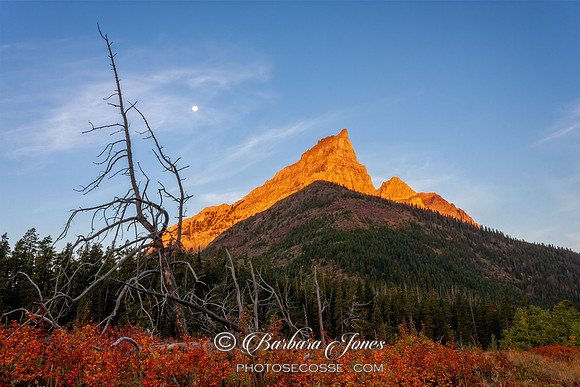 Red Rock Canyon Waterton NP Canada