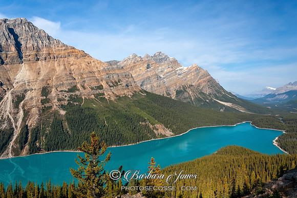 Peyto Lake Icefields Parkway Alberta Canada