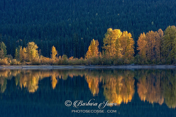 Moose Lake Autumn Reflections Jasper NP Canada