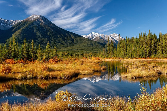 Vermillion Lakes in Autumn  Banff  Alberta Canada