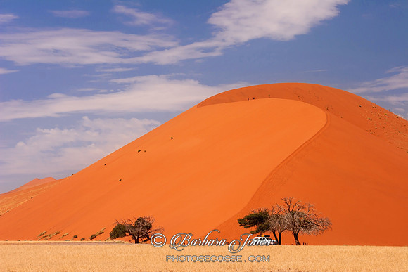 Dune 45 Sossusvlei Namib Naukluft Park, Namibia Africa.