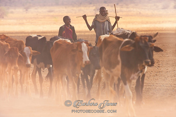 Masai Cowherds Amboseli NP Kenya