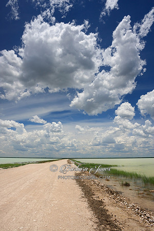 Namibia, Fischers Pan Etosha National Park Africa.