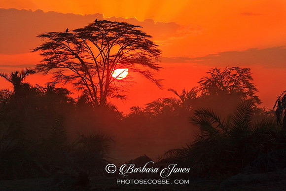 African Sunrise Amboseli NP Kenya