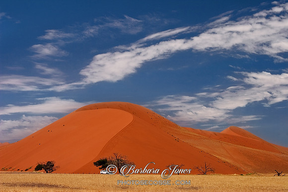 Dune 45 Sossusvlei Namibia Africa