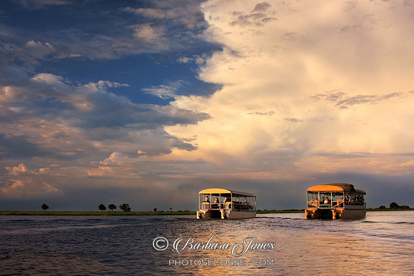 Chobe River Sunset Cruises Botswana Africa