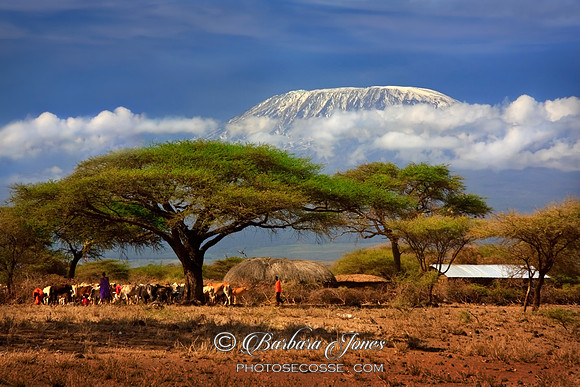 Kilimanjaro and Masai Huts Kenya Africa