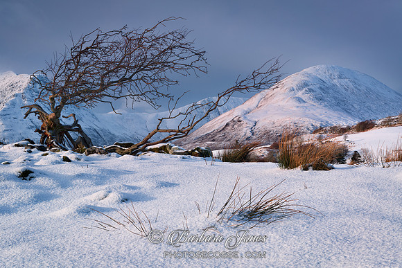 Red Hills Snow Scene Isle of Skye. Scotland.