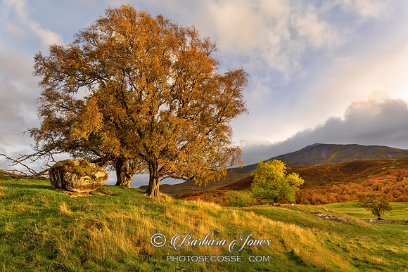 Schiehallion Autumn Scene from Tullochroisk Scotland.