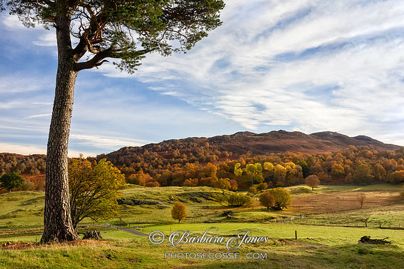 Schiehallion Foothills in Autumn, Scotland.