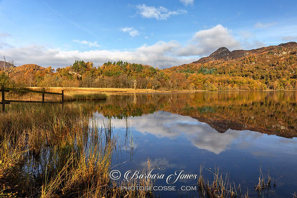 Loch Achray Reflections Trossachs NP Scotland.