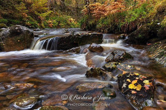 Rannoch Forest Carie Burn  Perthshire, Scotland.