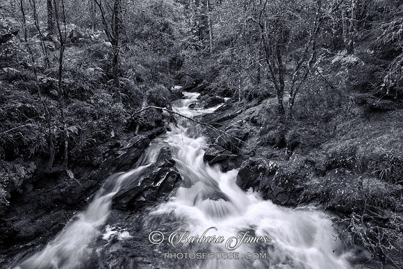 Rannoch Forest  Carie Waterfall Perthshire Scotland. MONO
