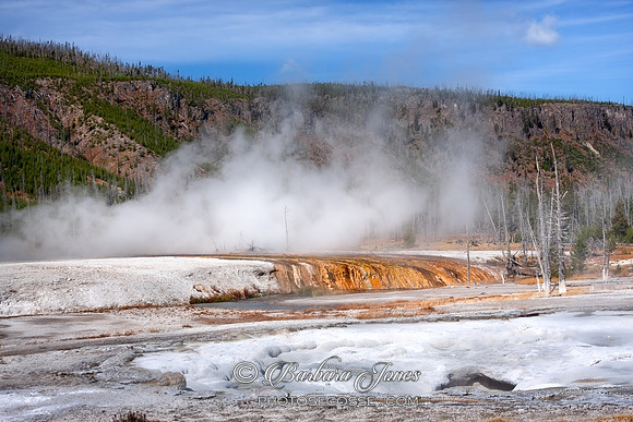 Mammoth Hot Springs Yellowstone Wyoming USA.