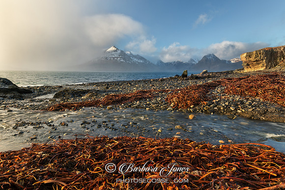 Elgol Burn. Kelp.  Loch Scavaig. Isle of Skye. Scotland.