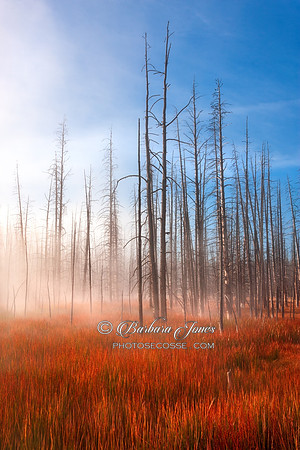 That Which Burns Yellowstone National Park USA