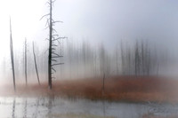 Misty Moments Yellowstone National Park USA