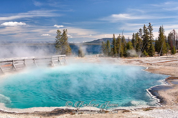West Thumb Geyser Basin Yellowstone NP USA