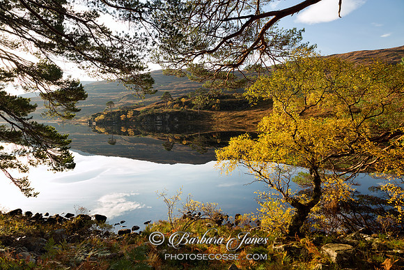 Shieldaig Loch Dughaill  Autumn Torridon Scotland.