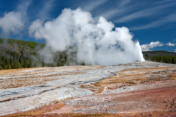 Old Faithful Eruption Yellowstone National Park USA