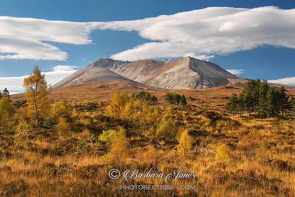 Beinn Eighe. Autumn Colours. Torridon.  Glen Torridon. Wester Ross. Scotland.