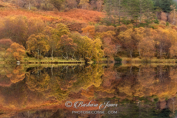 Highland Lochan, Autumn Colours, Scotland.
