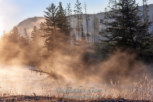 Yellowstone River Misty Morning USA