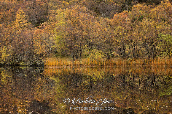 Highland Lochan. Autumn Reflections. North West Scotland.