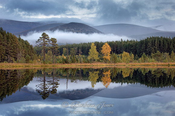 Glen Feshie Lochan Uamh Mists Cairngorms NP, Scotland