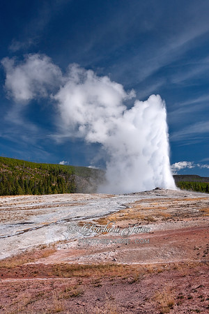 Old Faithful Eruption Yellowstone NP USA