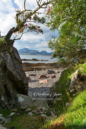 Tokavaig Rowan Tree Rock Skye Scotland.