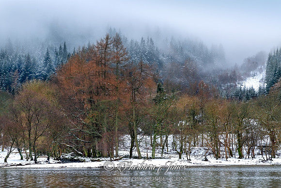Loch Lubnaig Winter Trees and Mist Trossachs Scotland.
