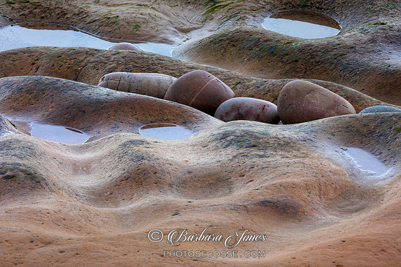Clashach Cove Sandstone and Pebbles Moray Scotland.
