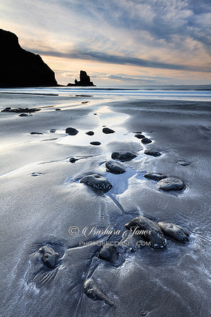 Talisker Beach. Rocks and Reflections. Isle of Skye. Scotland.