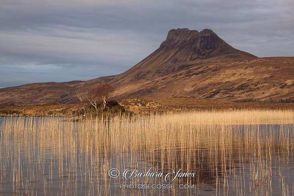 Stac Pollaidh and Loch Lurgainn. Reed Bay. Coigach. Scotland.