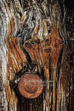 Talmine Beach. Reaper Wreck Wood Detail. Sutherland. Scotland.