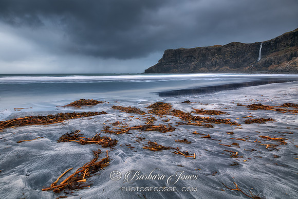 Talisker Beach. Storm blown Kelp. Isle of Skye. Scotland.