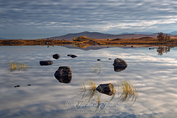 Loch Ba. Reflections in Autumn. Rannoch Moor. Scotland.
